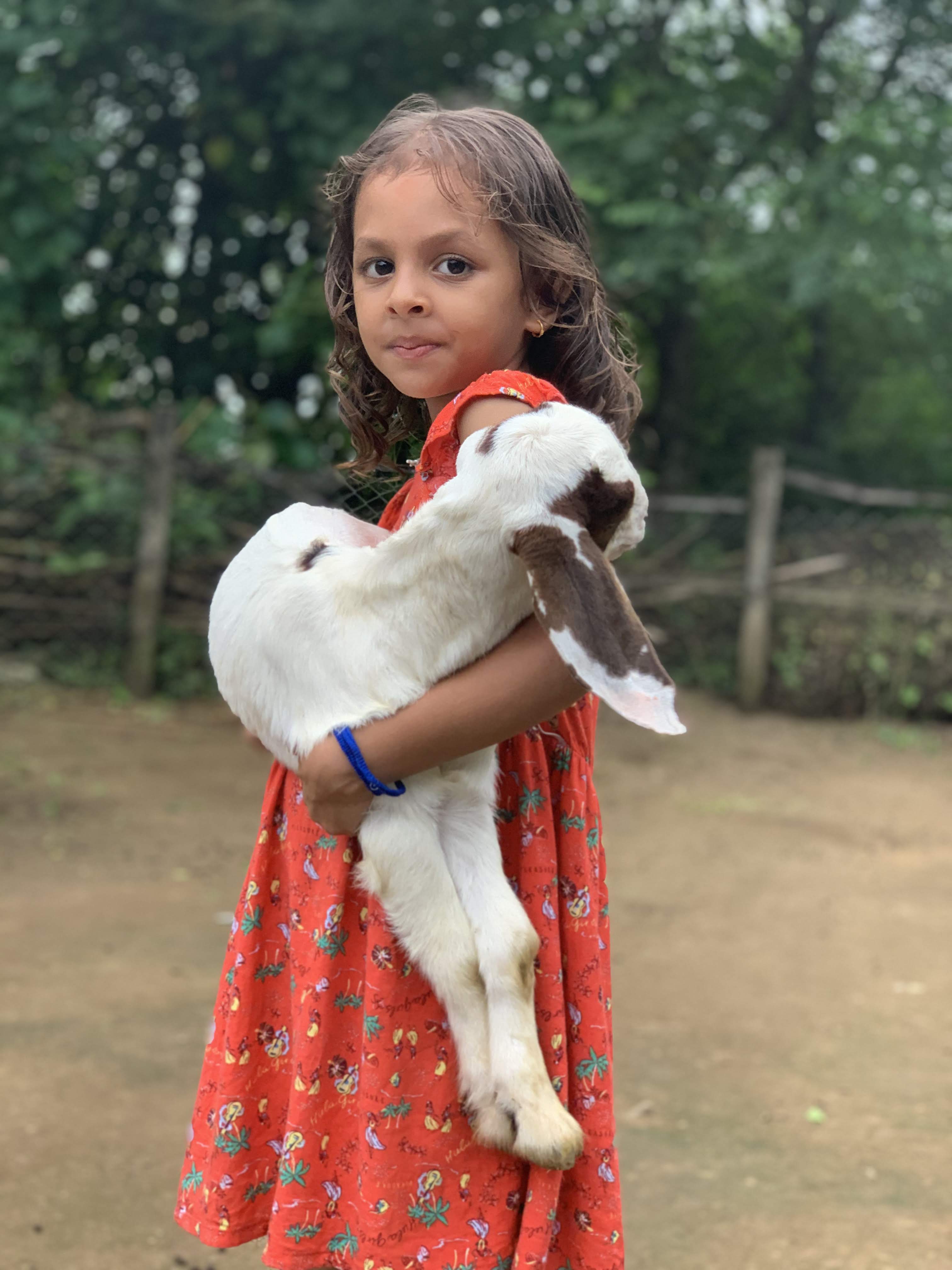 Jagatpur Bakhra Farm